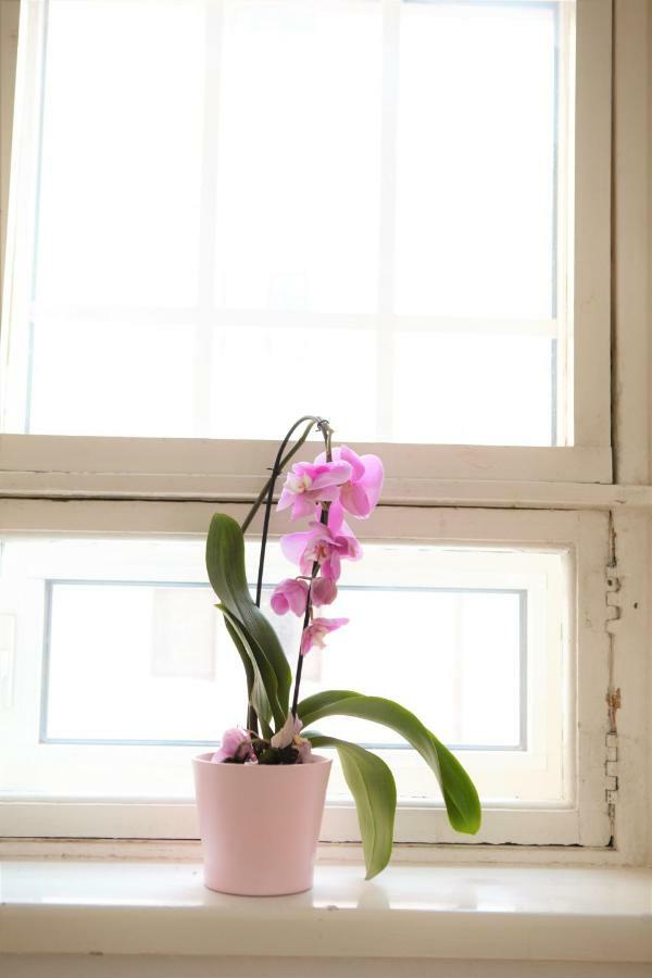Here Liisa Apartment *